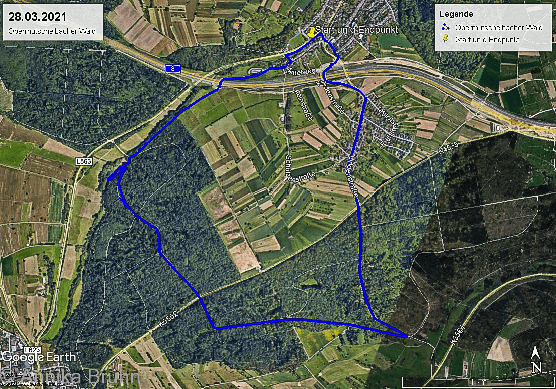 Obermutschelbacher Wald